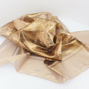 Hermès Scarf - Ex Libris Glam Bronze (SE,2C)